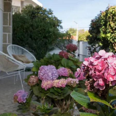 Villa Lovely With 3 Bedrooms And Swimming Pool Cascais